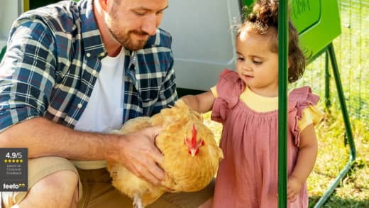 Omlet Chicken Coop