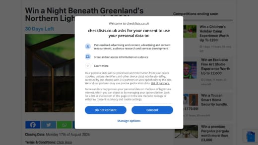 Night Beneath Greenland's Northern Lights