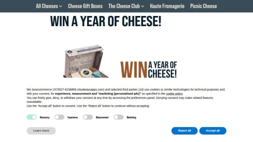 12-Month Subscription To The Pong Cheese Club