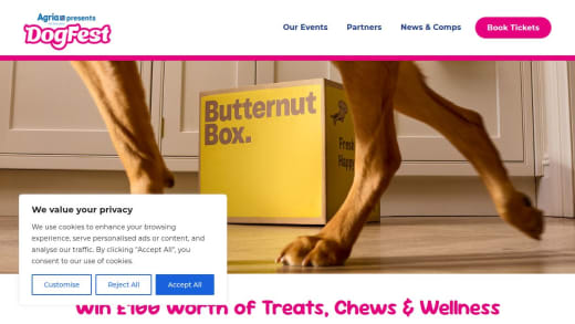 Butternut Box Dog Treats And Chews Hamper
