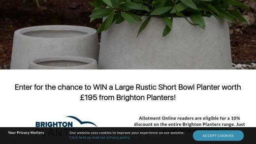 Large Rustic Short Bowl Planter