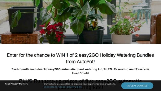 Easy2go Holiday Watering Bundle