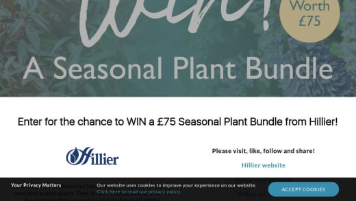 Seasonal Plant Bundle From Hillier