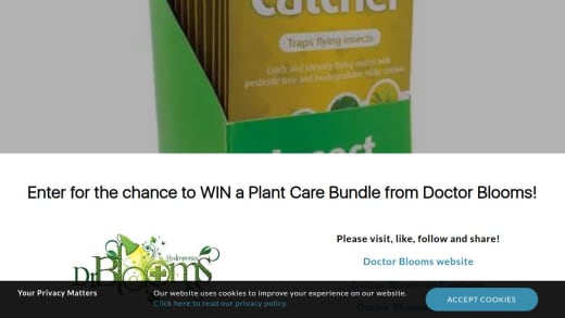 Plant Care Bundle