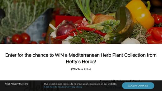 Mediterranean Herb Plant Collection