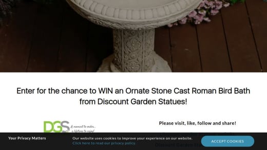 Small Ornate Roman Bird Bath