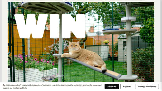Omlet Cat Setup Voucher