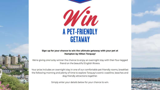 Pet Friendly Stay At Hampton By Hilton Torquay