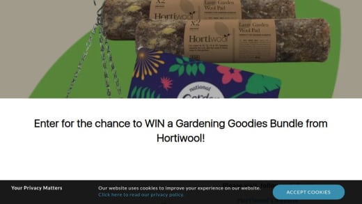 Hanging Basket & Gardening Goodies