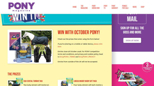 Equi-Sential Turnout Rug