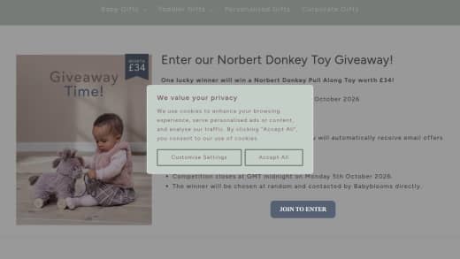 Norbert Donkey Pull Along Toy