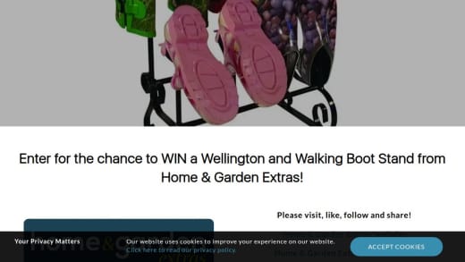 Wellington And Walking Boot Stand