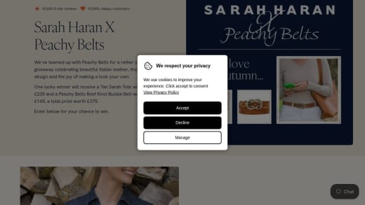 Tan Sarah Tote And A Peachy Belt