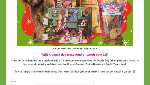Vegan Dog Treat Bundle