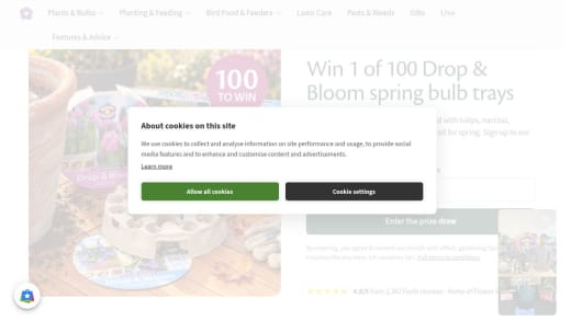 Drop & Bloom Spring Bulb Trays