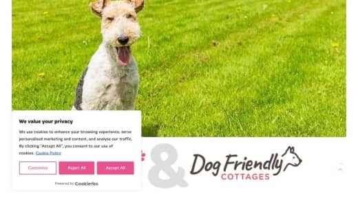 Dog-Friendly Break & Bugalugs Grooming Bundle