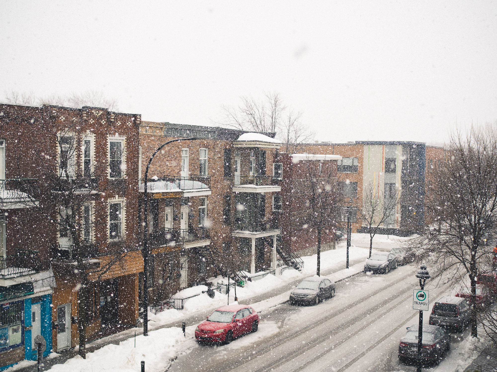 montréal sous la neige