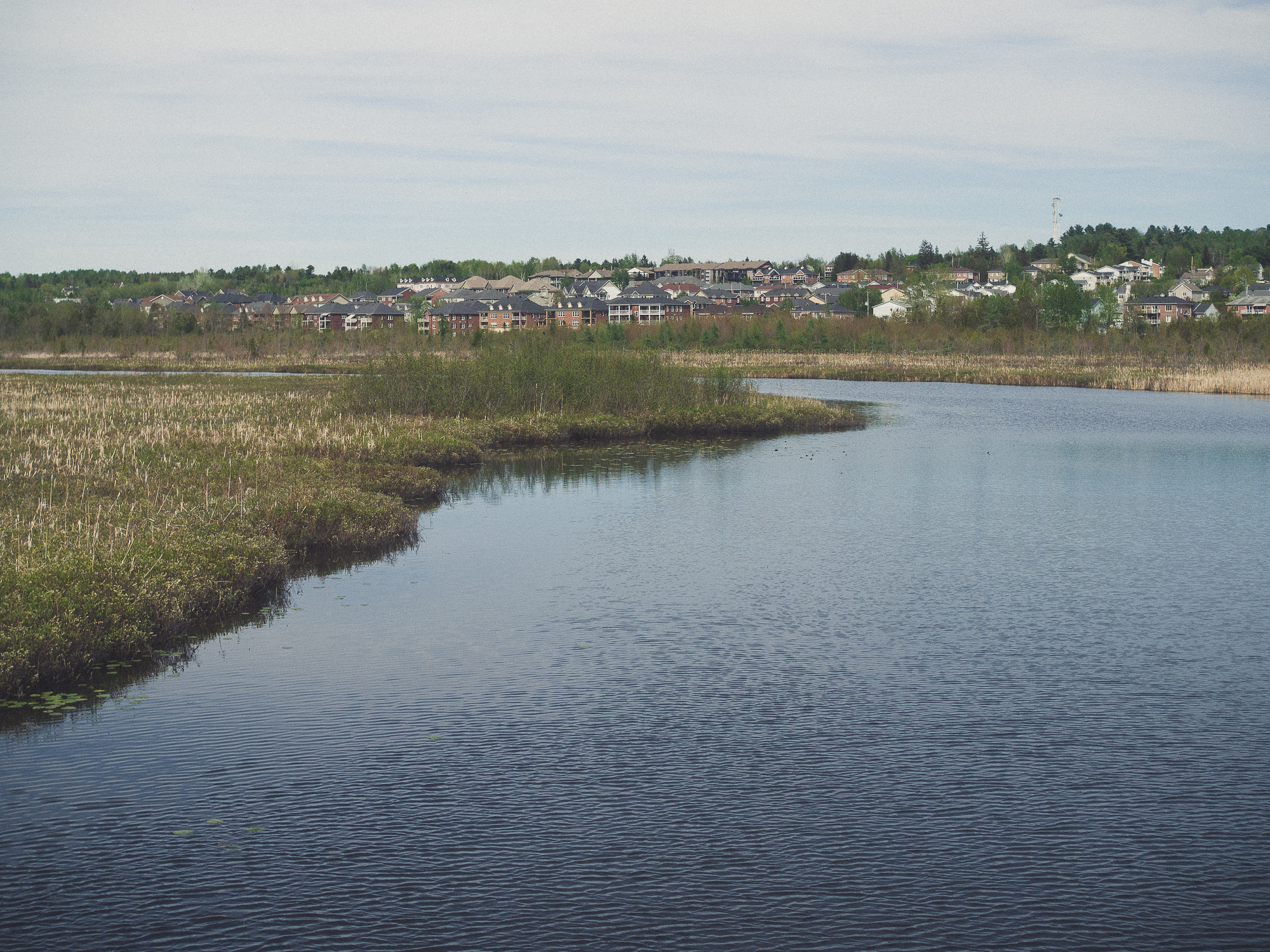 le marais de la riviere aux cerises