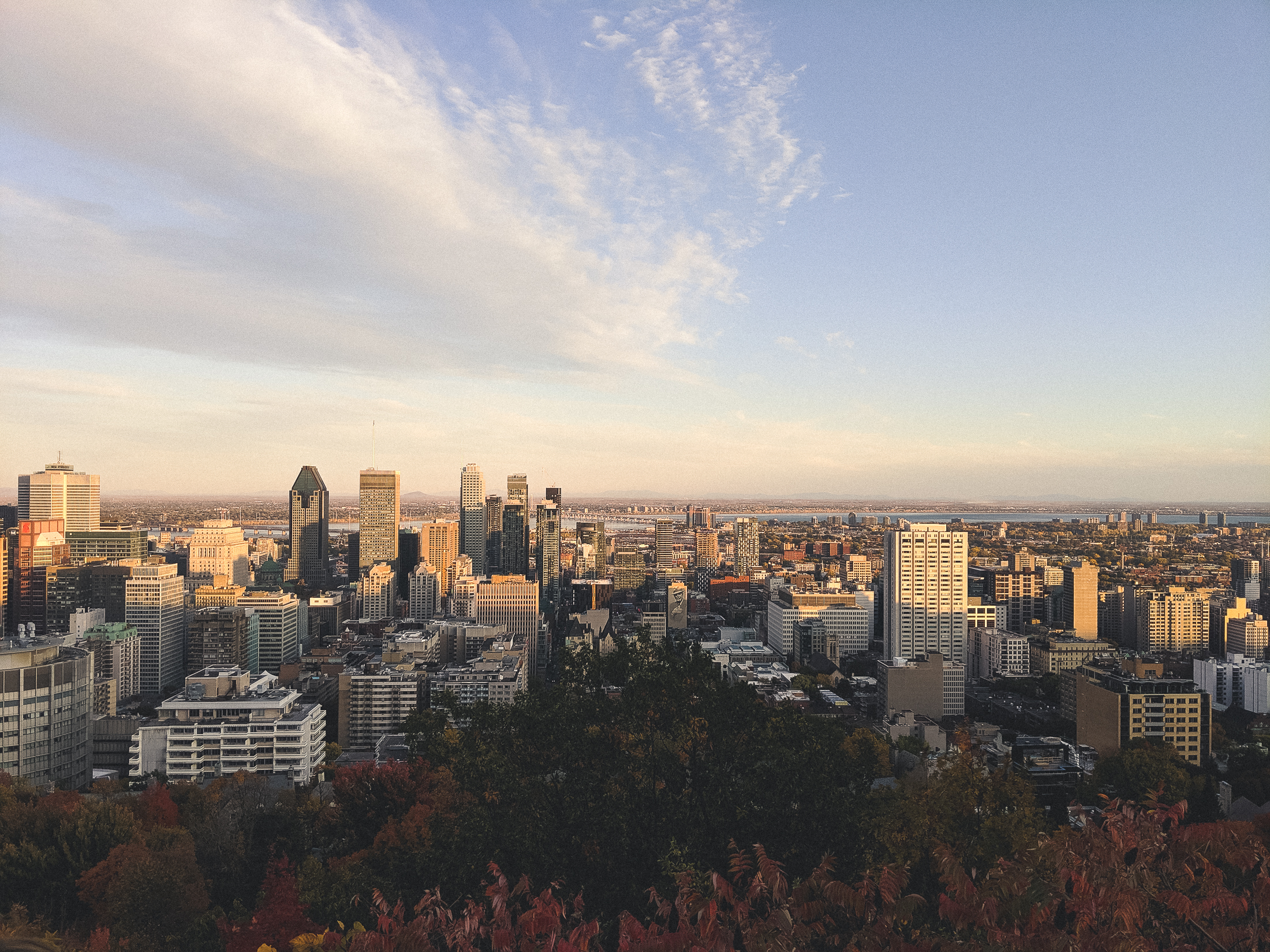 vue de Montréal en automne, du haut du parc du Mont-Royal