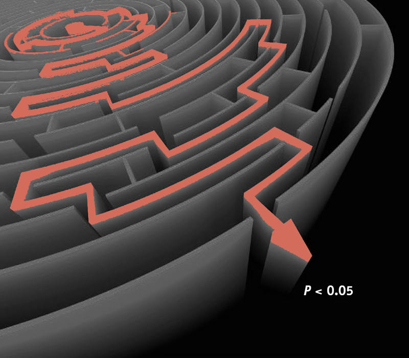 Analytical flexibility depicted by attempting to get through a maze