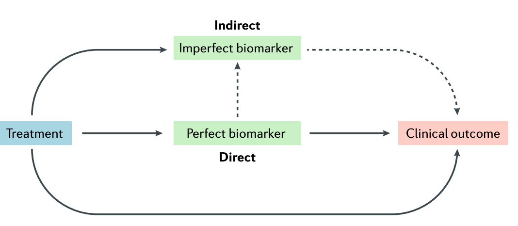 biomarker in causal pathway