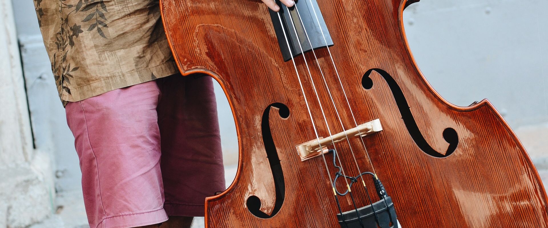 Das Grosste Und Tiefste Streichinstrument Der Kontrabass