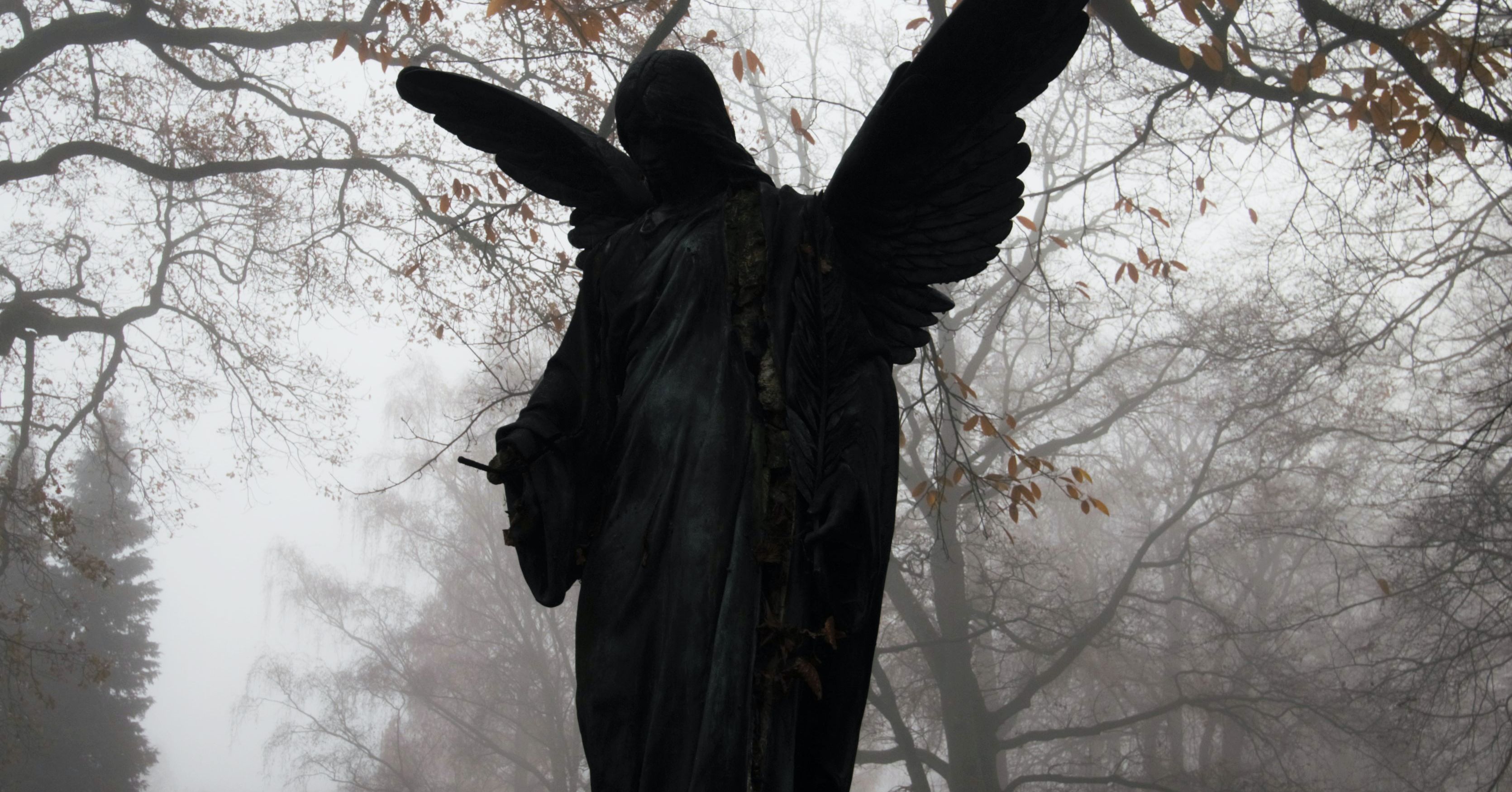 Anthropically Blind: the anthropic shadow is reflectively inconsistent — LessWrong