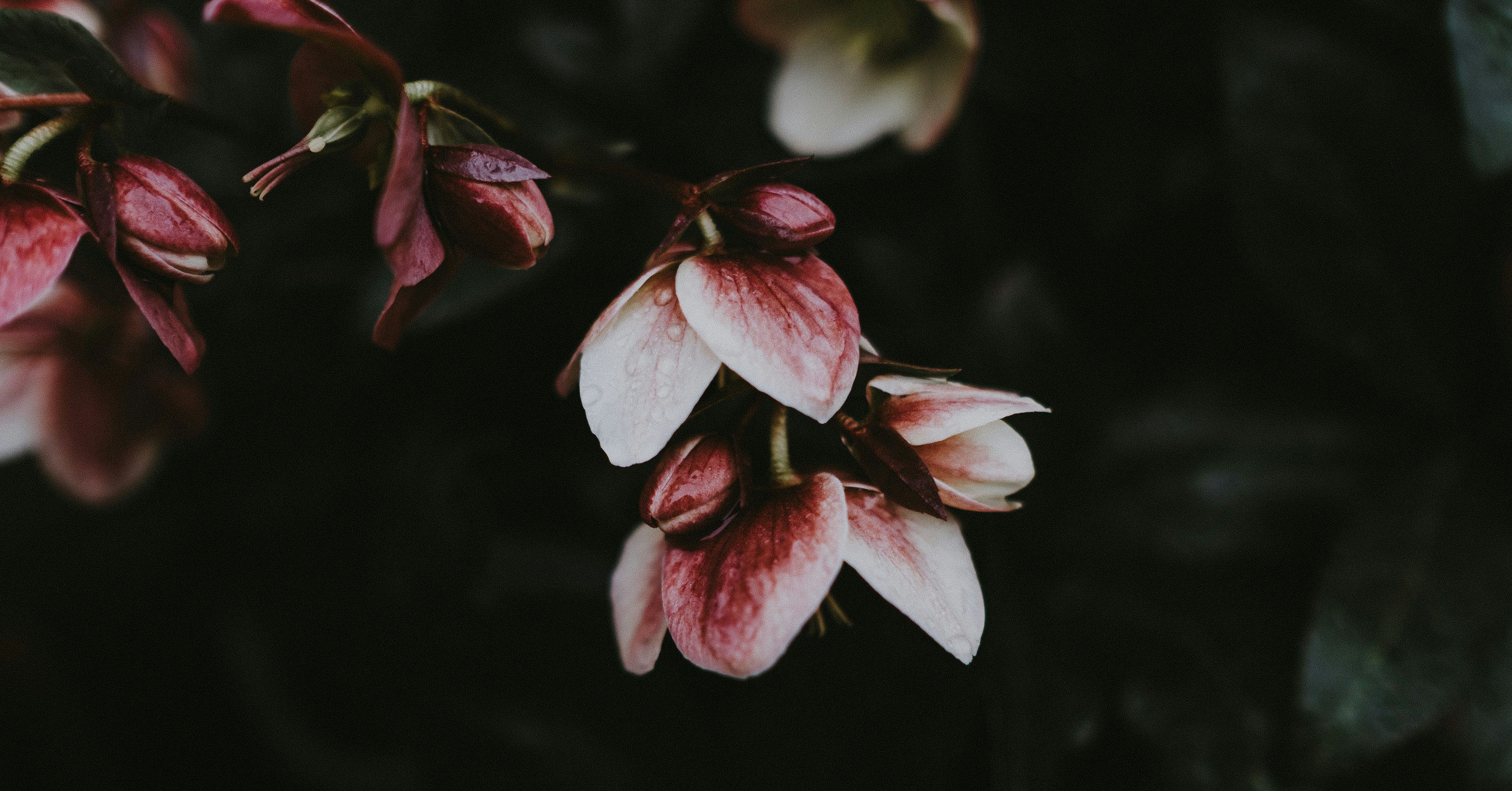 Le fiasco d'OpenAI FrontierMath : une crise de transparence dans l'évaluation de l'IA