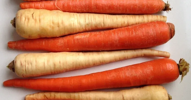 Carrot-Parsnip Introduces Social Deduction LLM Evals