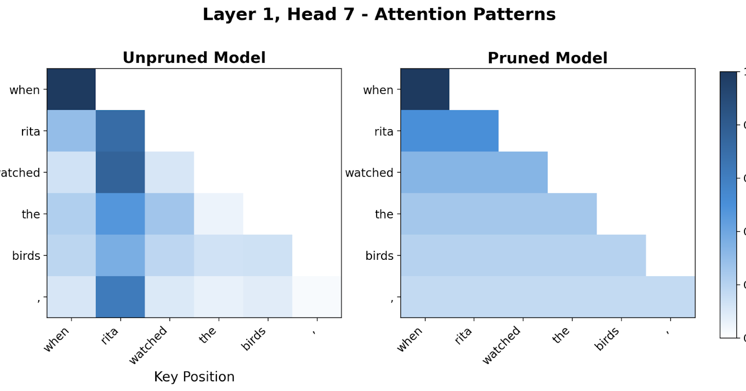 權重稀疏模型的可解釋性與真實性存疑