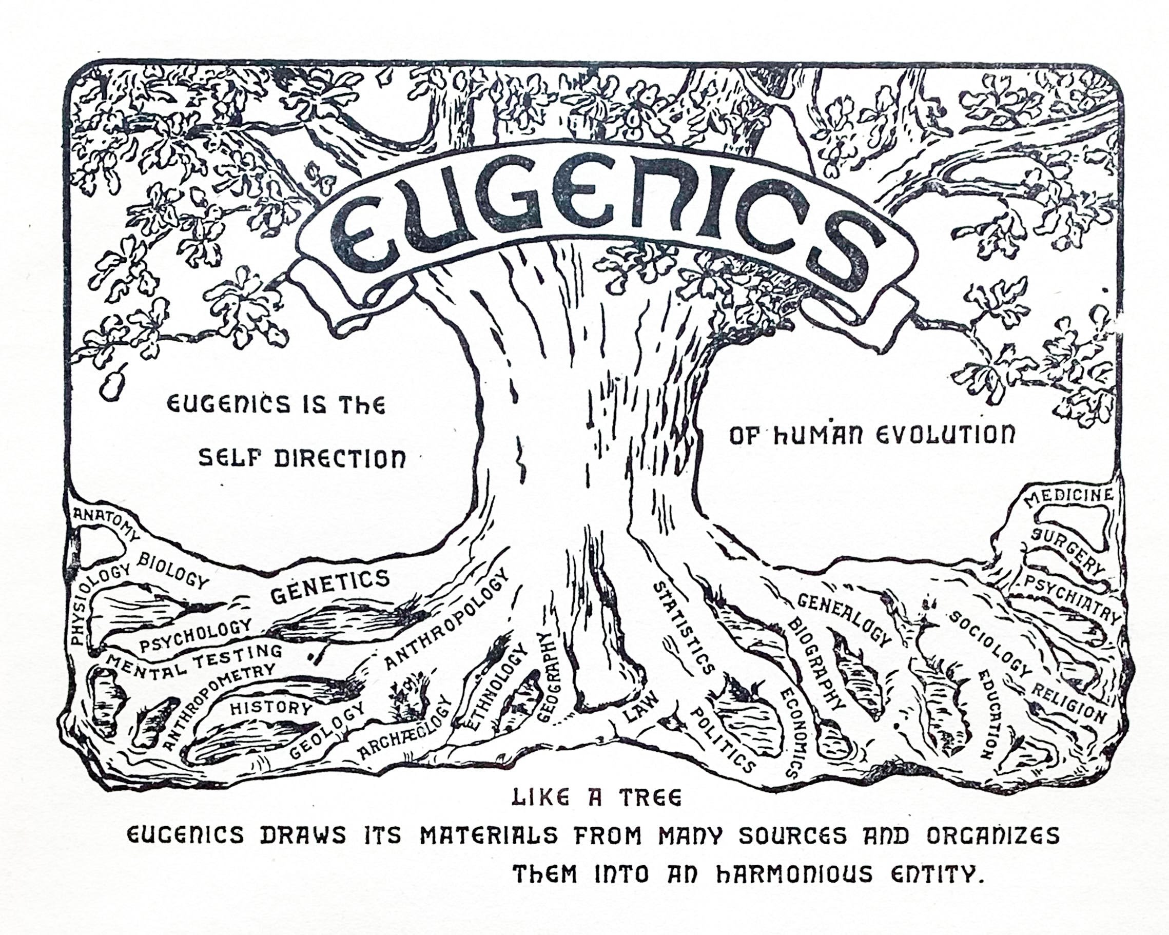 The "eugenics tree" is strongly associated with the history and legacy of eugenics.