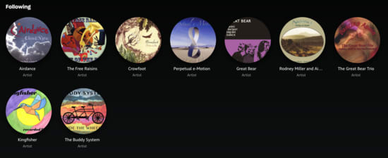Airdance, The Free Raisins,
Crowfoot, Perpetual e-Motion, Great Bear, Kingfisher, Buddy System