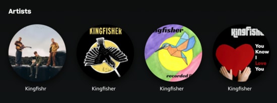 Three bands named
'Kingfisher' and one named 'Kingfishr'