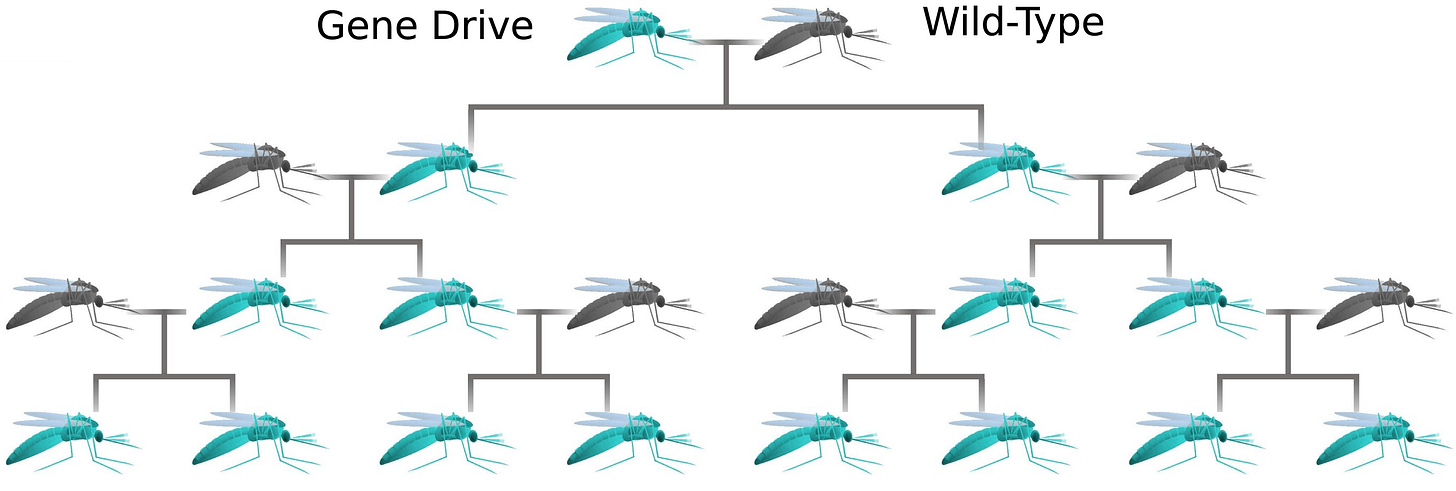 Gene drives: why the wait? — LessWrong