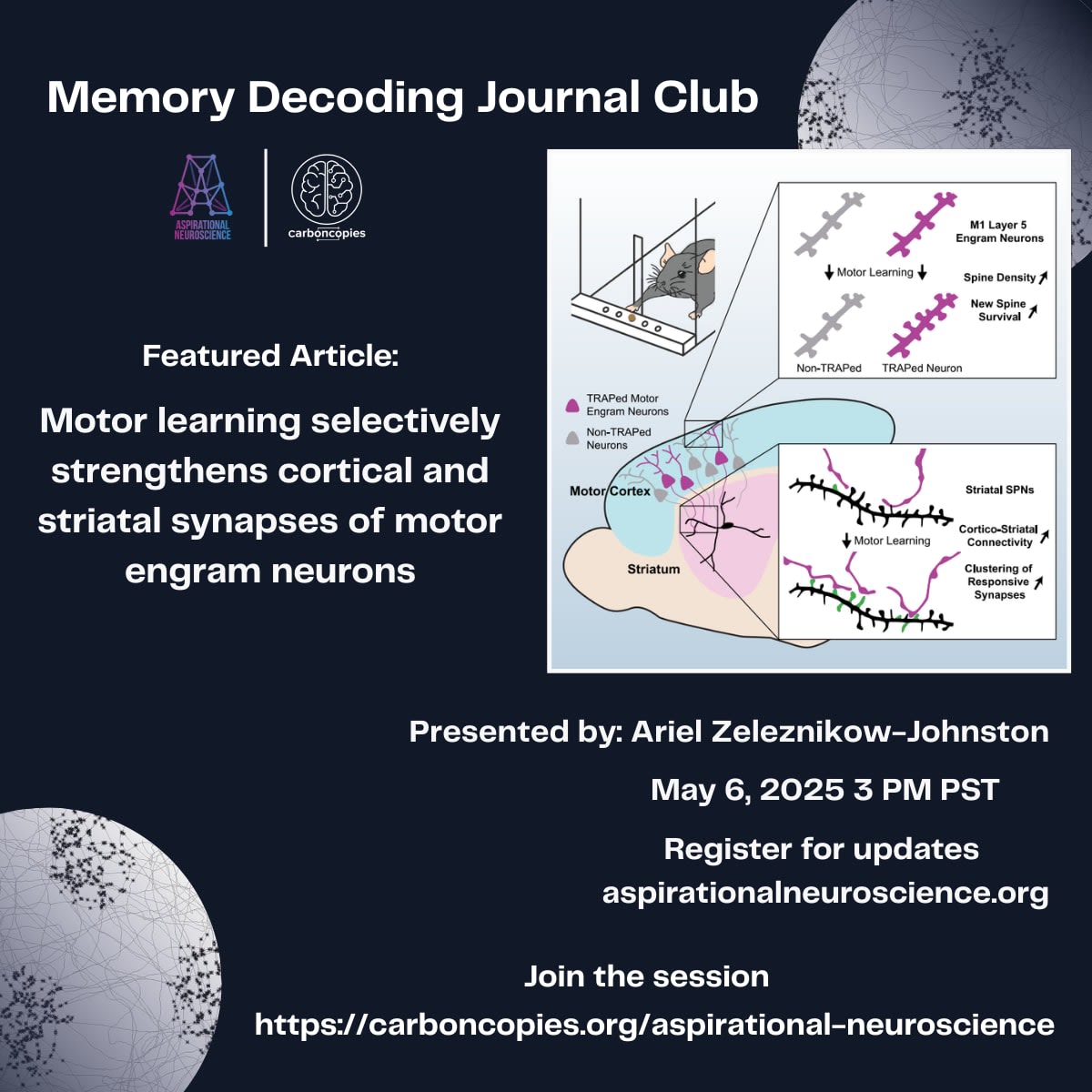 Memory Decoding Journal Club: Motor learning selectively strengthens ...