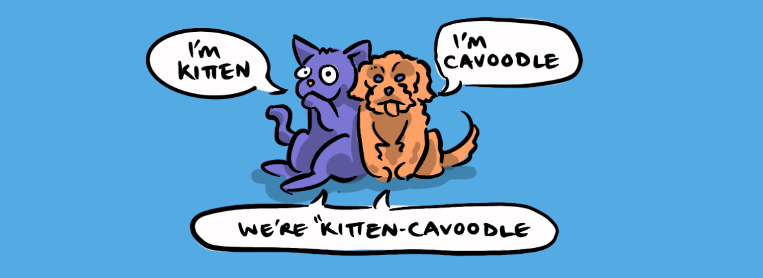 The Whole Kitten-Cavoodle