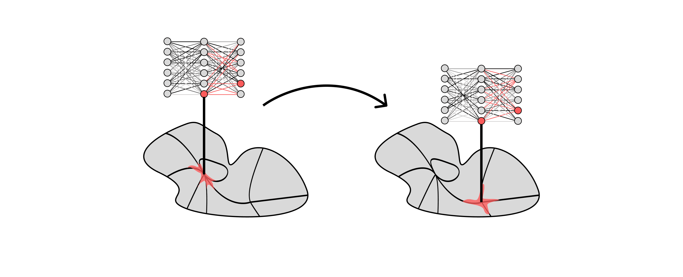 Towards Developmental Interpretability