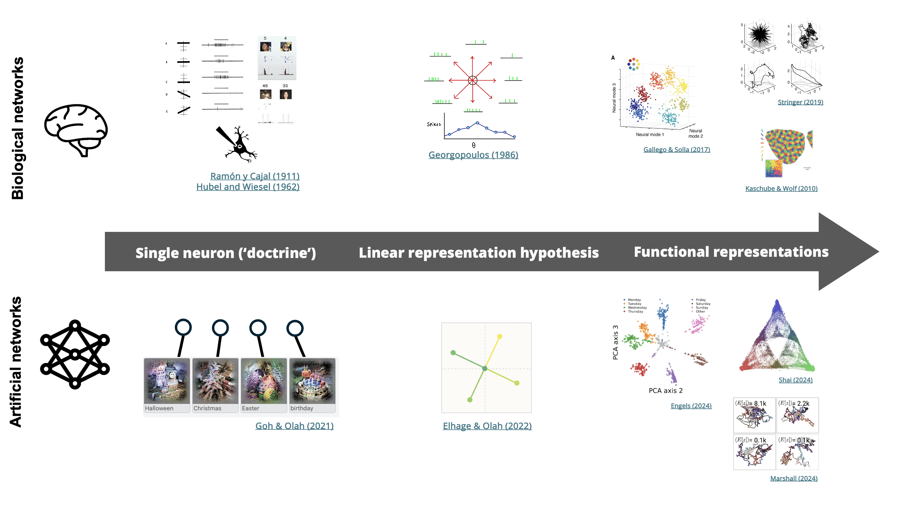 Towards a Unified Interpretability of Artificial and Biological Neural ...