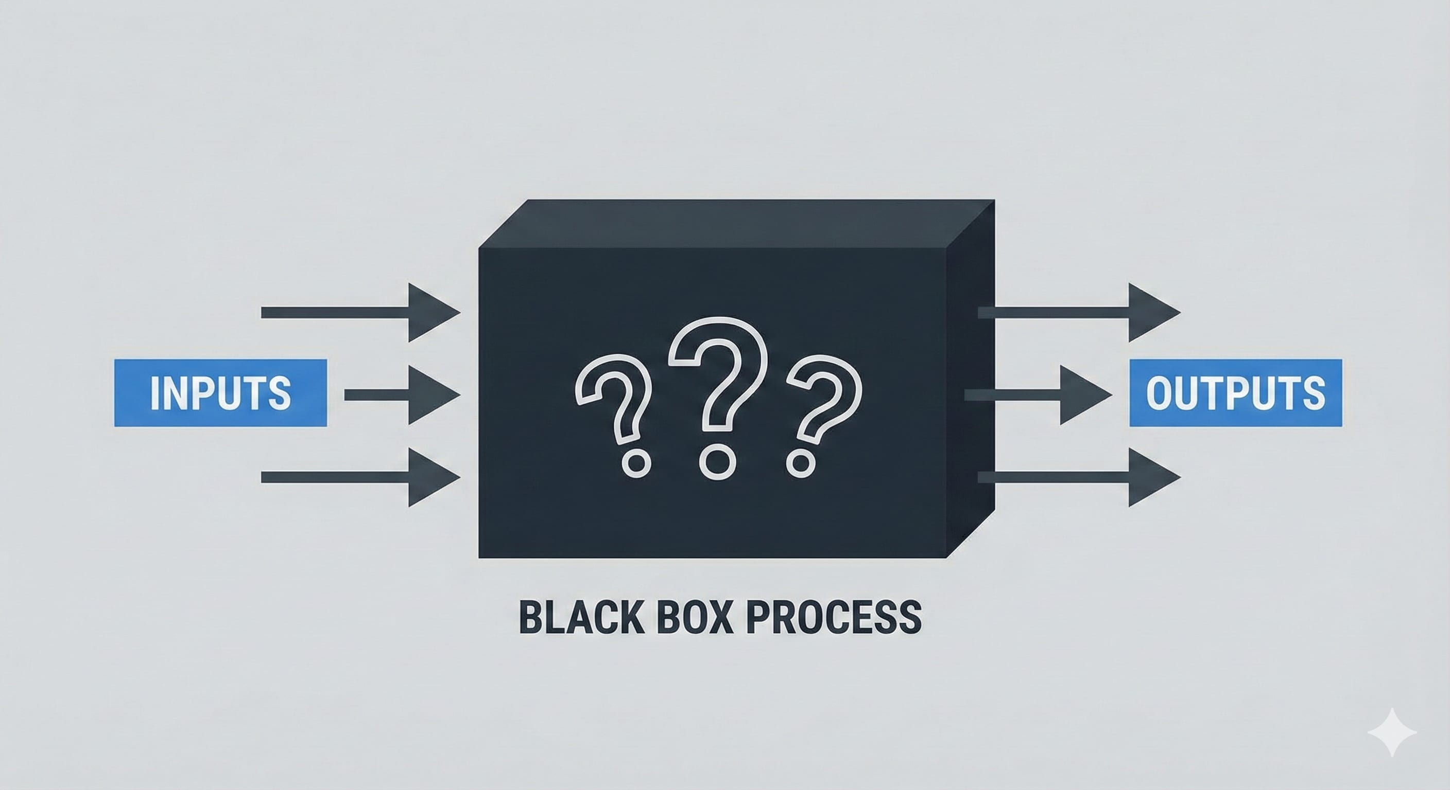 Black Box Process