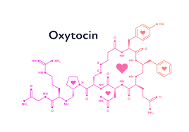 Oxytocin | Hormones
