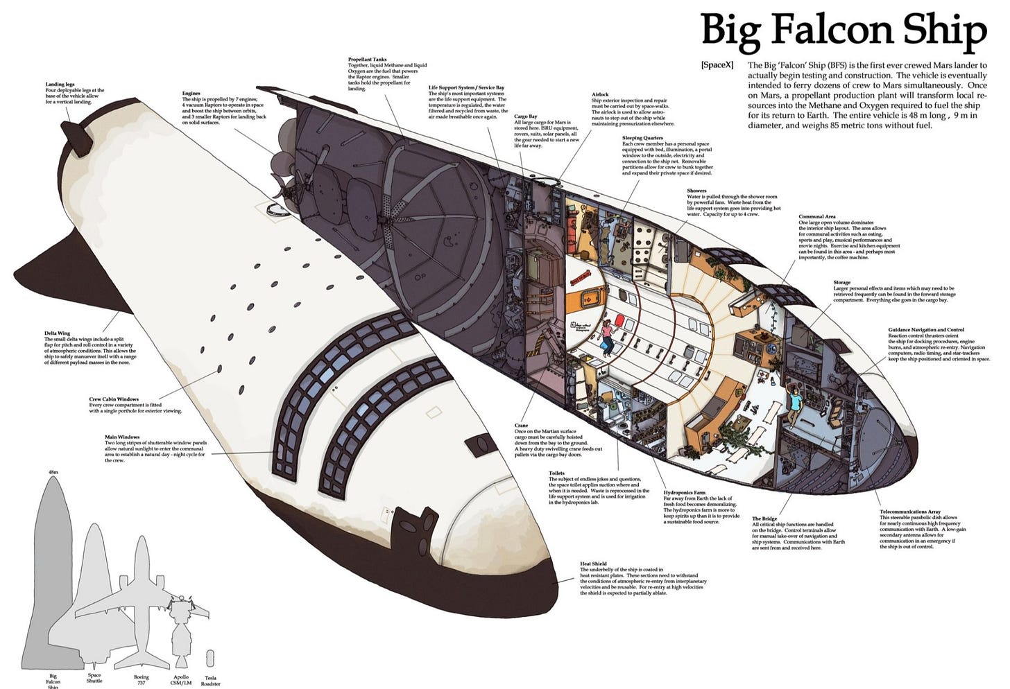 SpaceX Big Falcon Ship