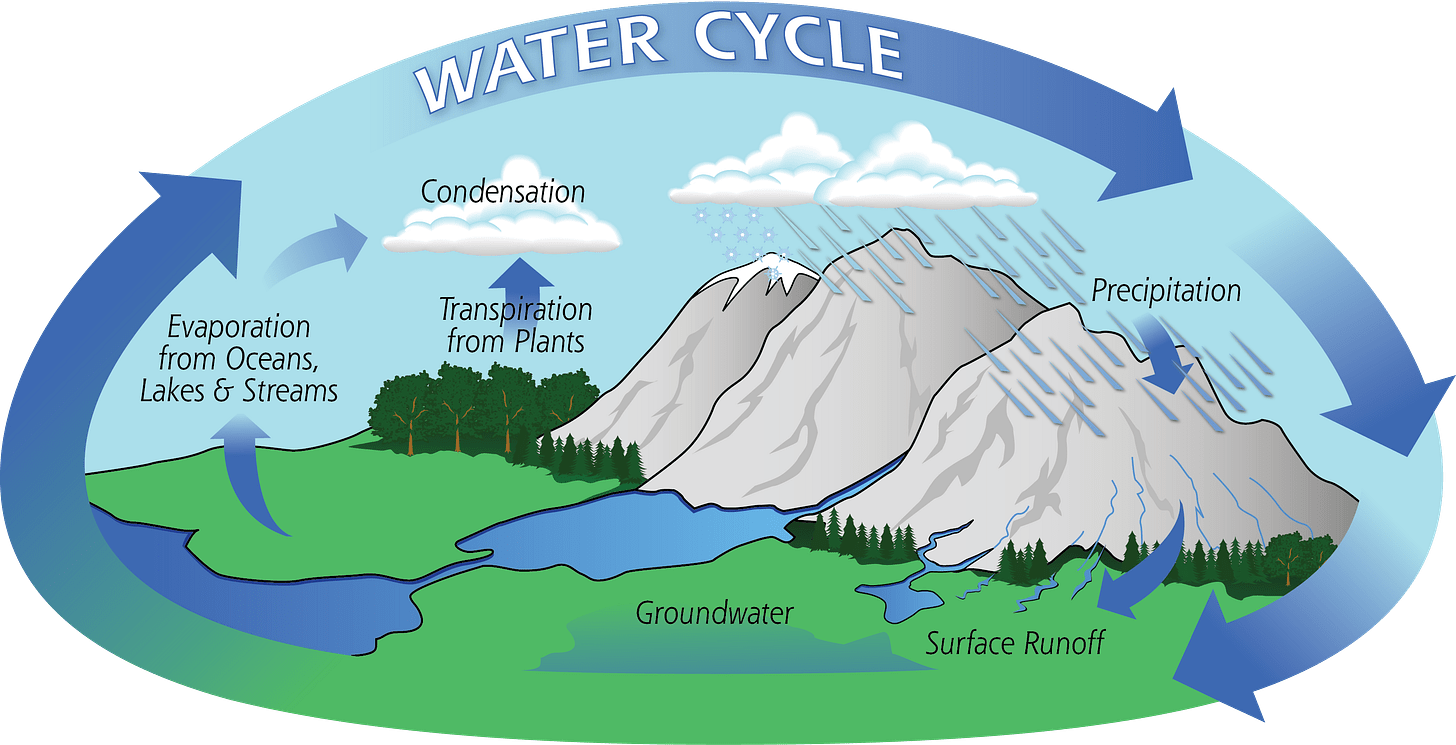The Water Cycle | Precipitation Education