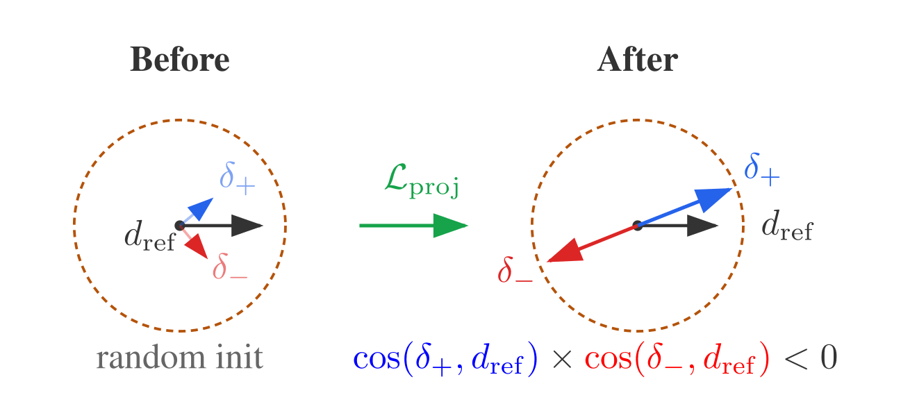 Anti-parallel projection loss geometry. The loss trains (shift at α=+1) and  (shift at α=−1) to align anti-parallelalong . Left: Before training, shifts are random.Right: After training,  aligns with  and anti-aligns, giving.Dashed circle: coherence bound.