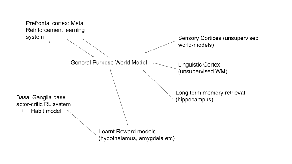 Words Doomed and Lucky are semantically related or have opposite