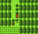 A frame from Pokemon Red showing the main character facing a cuttable tree.