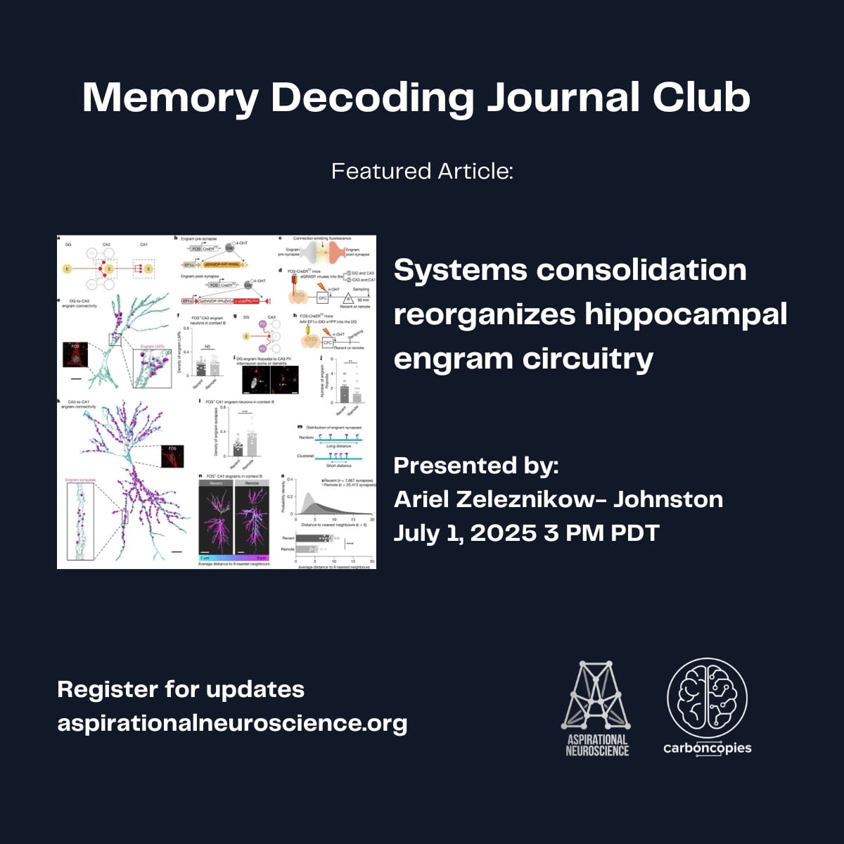 Memory Decoding Journal Club: Systems consolidation reorganizes ...