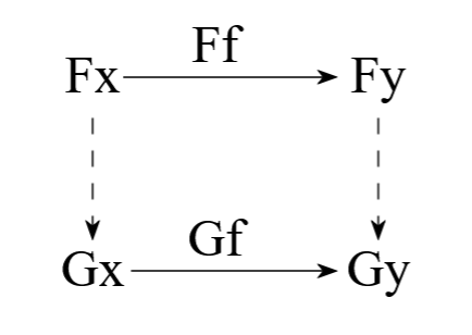 Why natural transformations?