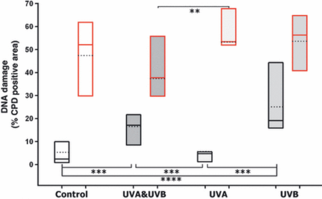 Contra Byrnes on UV & Cancer