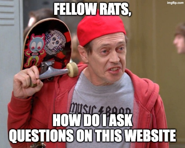Are questions allowed on LessWrong?