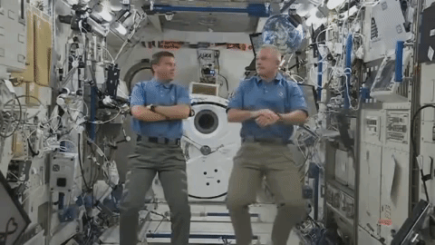 giphy.gif